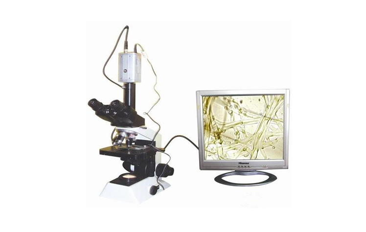 植物病蟲害檢測設(shè)備
