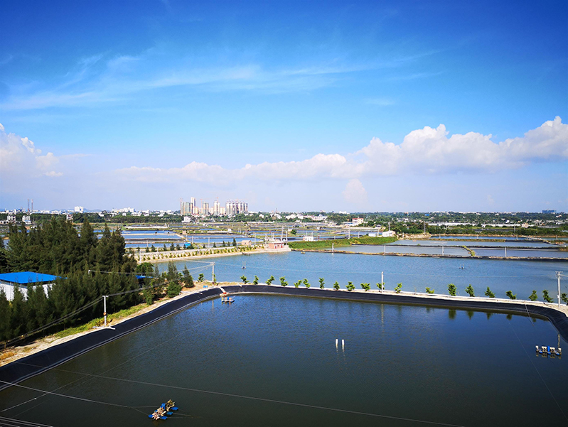 水產(chǎn)養(yǎng)殖殘藥檢測(cè)儀