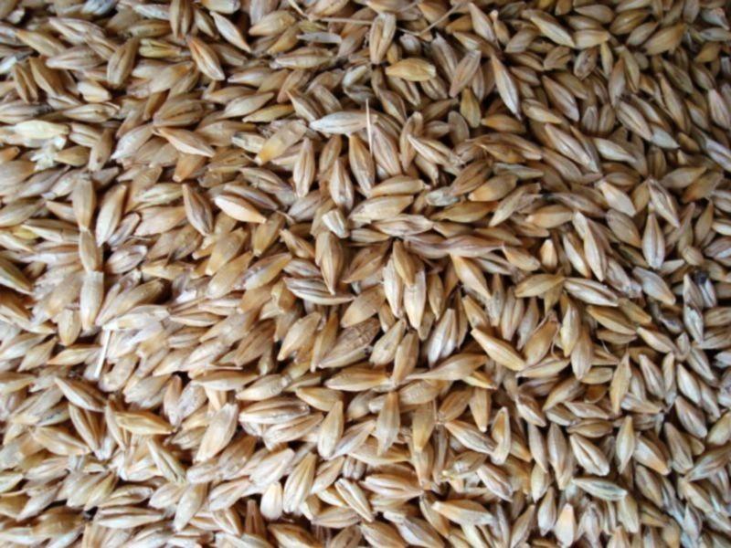 糧食重金屬檢測儀，滿足現場檢測需求