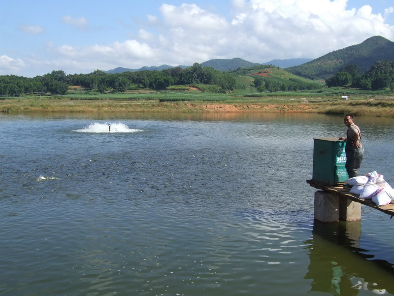 水產養殖檢測儀，為水產提供優良的生長環境